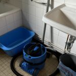 aspirateur-chalet-orchidee